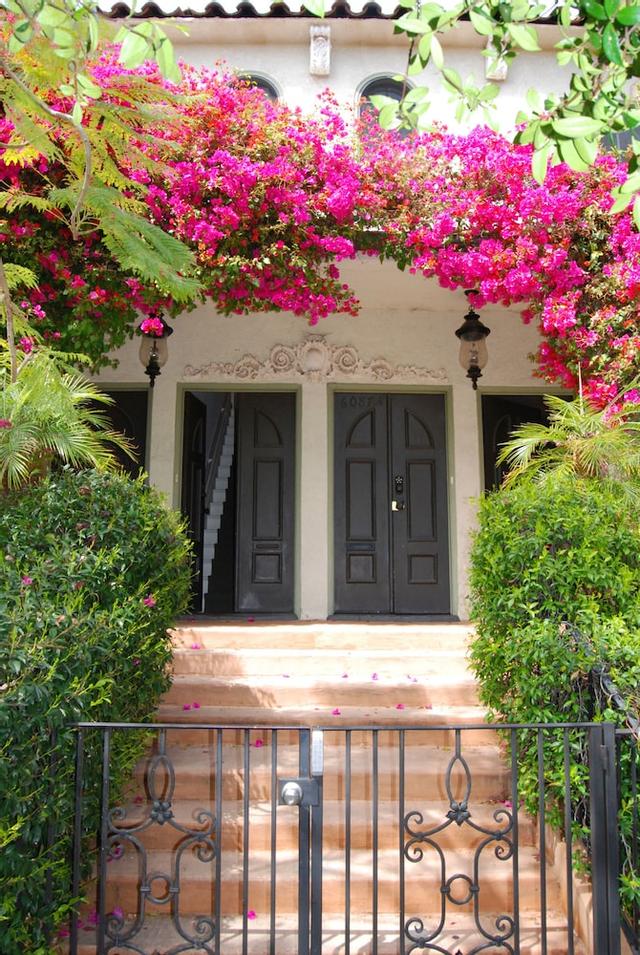 فيلا ديلي ستيل